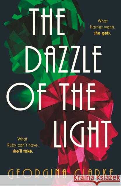 The Dazzle of the Light Georgina Clarke 9780857308306