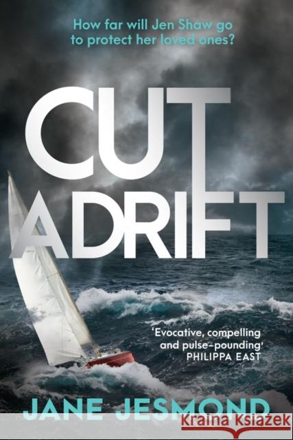 Cut Adrift: A Times Thriller of the Year - 'trimly steered and freighted with contemporary resonance' Jane Jesmond 9780857308375 Oldcastle Books Ltd