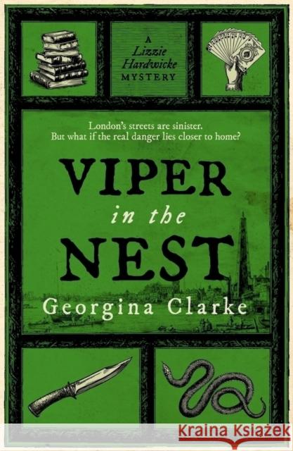Viper in the Nest Georgina Clarke 9780857308955