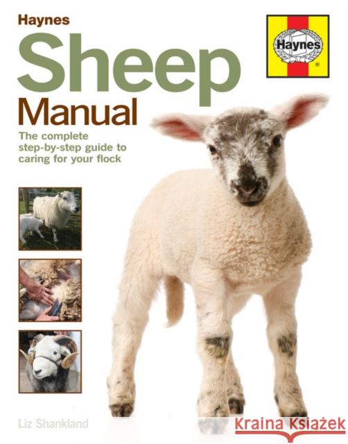Sheep Manual: The complete step-by-step guide to caring for your flock Liz Shankland 9780857337702 Haynes Publishing Group