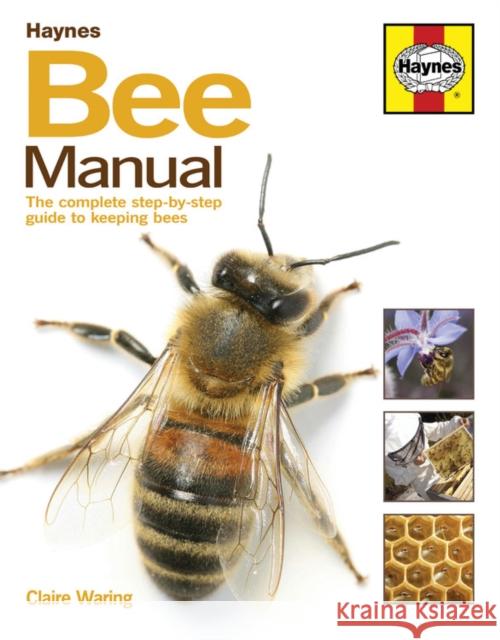 Bee Manual: The complete step-by-step guide to keeping bees Claire Waring 9780857338099 Haynes Publishing Group