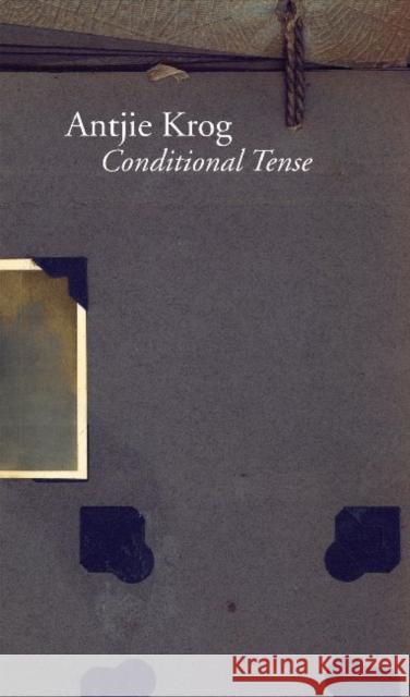 Conditional Tense: Memory and Vocabulary After the South African Truth and Reconciliation Commission Krog, Antjie 9780857421746 Seagull Books