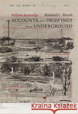 Accounts and Drawings from Underground: The East Rand Proprietary Mines Cash Book, 1906 William Kentridge Rosalind C. Morris 9780857422057 Seagull Books