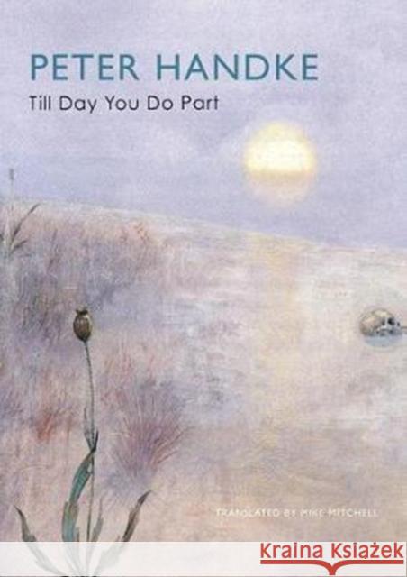 Till Day You Do Part or a Question of Light Handke, Peter 9780857425300 Seagull Books
