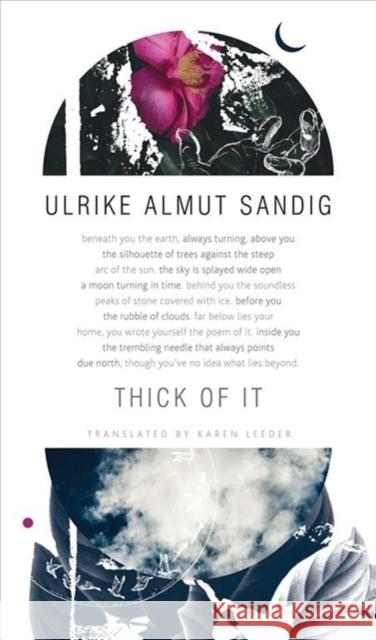 Thick of It Ulrike Almut Sandig, Karen Leeder 9780857425560 Seagull Books London Ltd