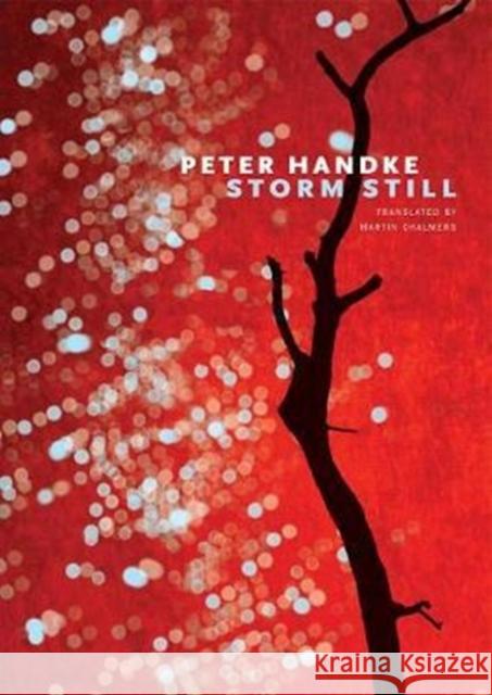 Storm Still Peter Handke Martin Chalmers 9780857425584 Seagull Books