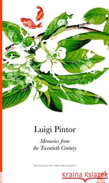 Memories from the Twentieth Century Luigi Pintor Gregory Elliot 9780857425782 Seagull Books