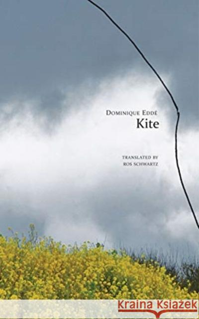 Kite Dominique Edde Ros Schwartz 9780857426369 Seagull Books