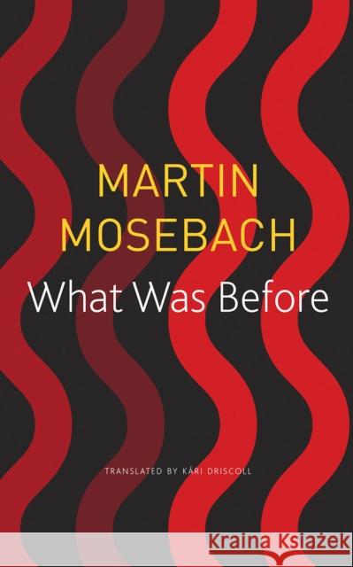 What Was Before Martin Mosebach Kari Driscoll 9780857427182