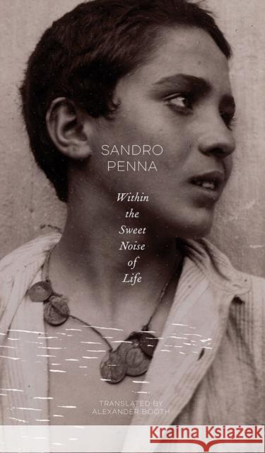 Within the Sweet Noise of Life: Selected Poems Sandro Penna Alexander Booth 9780857427878