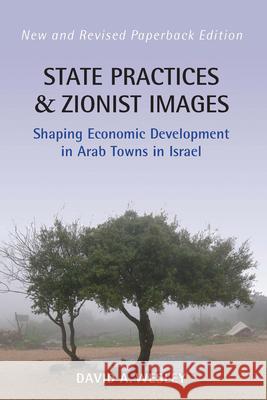 State Practices and Zionist Images: Shaping Economic Development in Arab Towns in Israel Wesley, David A. 9780857459060