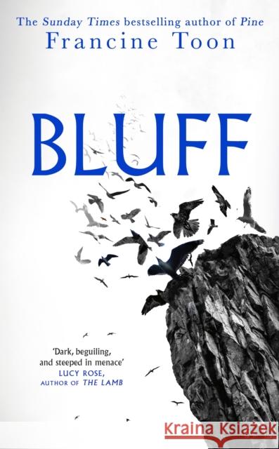 Bluff Francine Toon 9780857527554