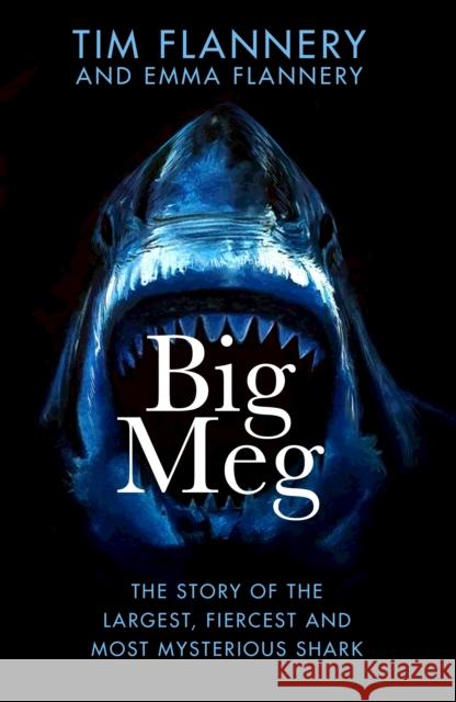 Big Meg: The Story of the Largest, Fiercest and Most Mysterious Shark Emma Flannery 9780857529534