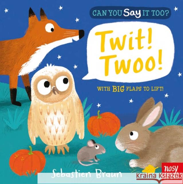 Can You Say It Too? Twit! Twoo! Nosy Crow 9780857633477