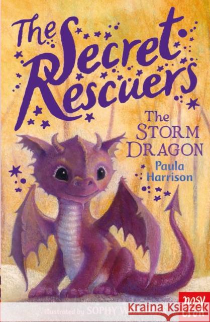 The Secret Rescuers: The Storm Dragon Paula Harrison 9780857634771