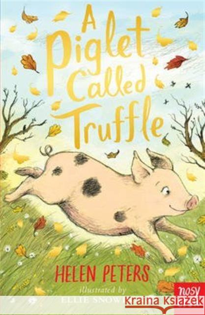 A Piglet Called Truffle Helen Peters Ellie Snowdon  9780857637734 Nosy Crow Ltd
