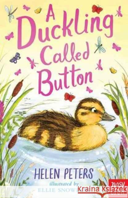 A Duckling Called Button Helen Peters Ellie Snowdon  9780857638366