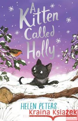 A Kitten Called Holly Peters, Helen 9780857639639