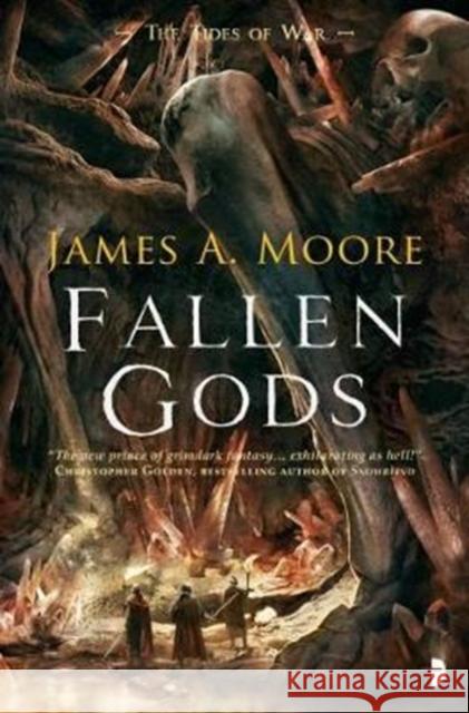 Fallen Gods James A. Moore 9780857665461 