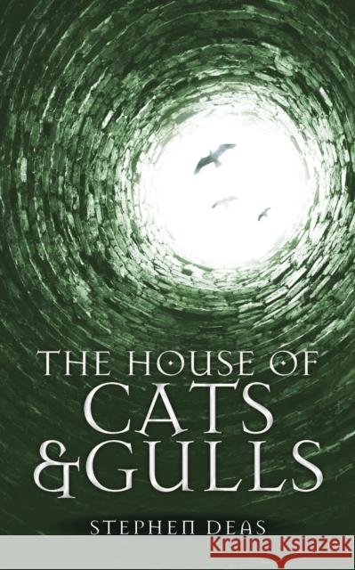 The House of Cats and Gulls: Black Moon, Book II Stephen Deas 9780857668783 Watkins Media Limited
