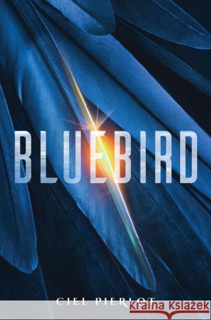Bluebird Ciel Pieriot 9780857669667 Watkins Media Limited