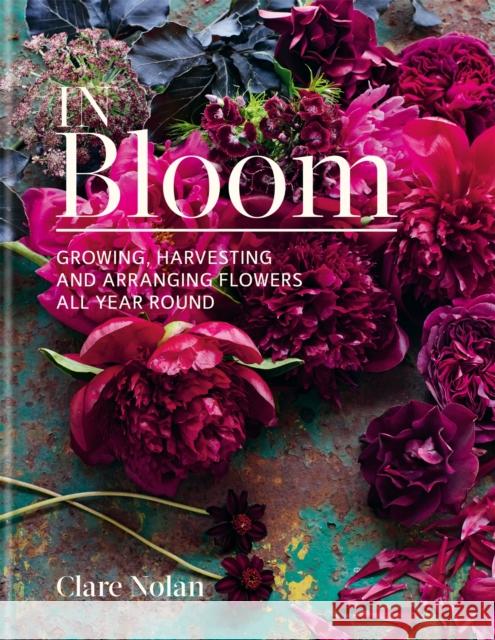 In Bloom: Growing, harvesting and arranging flowers all year round Clare Nolan 9780857833051 Octopus Publishing Group