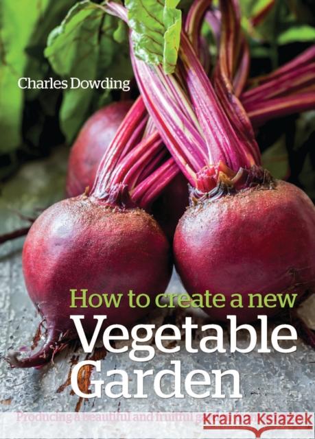 How to Create a New Vegetable Garden: Producing a beautiful and fruitful garden from scratch Charles Dowding 9780857842442 Bloomsbury Publishing PLC