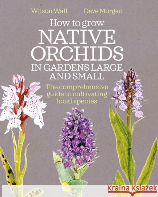 How to Grow Native Orchids in Gardens Large and Small: The Comprehensive Guide to Cultivating Local Species David Morgan Wilson Wall 9780857844606