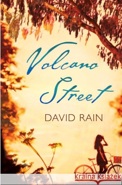Volcano Street David Rain 9780857892089