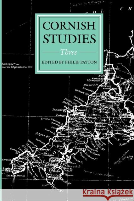 Cornish Studies Volume 3 Philip Payton 9780859894760 University of Exeter Press