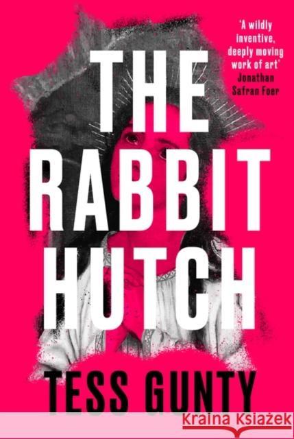 The Rabbit Hutch: THE MULTI AWARD-WINNING NY TIMES BESTSELLER Gunty, Tess 9780861543656