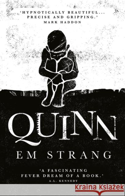 Quinn: 'Hypnotically beautiful' - Mark Haddon Em Strang 9780861546800