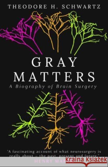 Gray Matters: A Biography of Brain Surgery Theodore Schwartz 9780861549443