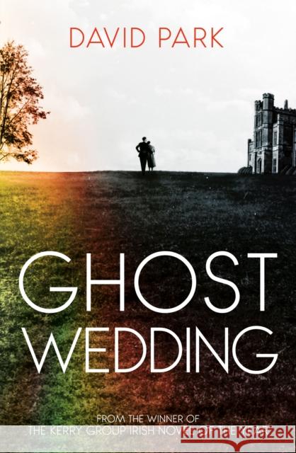 Ghost Wedding David Park 9780861549740 Oneworld Publications