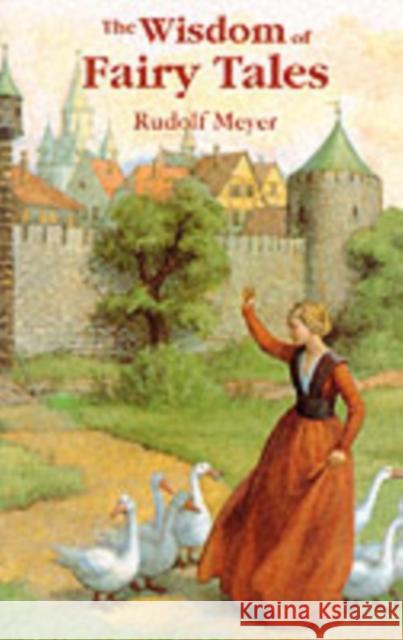 The Wisdom of Fairy Tales Rudolf Meyer 9780863152085 Floris Books