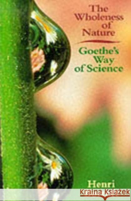 The Wholeness of Nature: Goethe's Way of Science Henri Bortoft 9780863152382 Floris Books