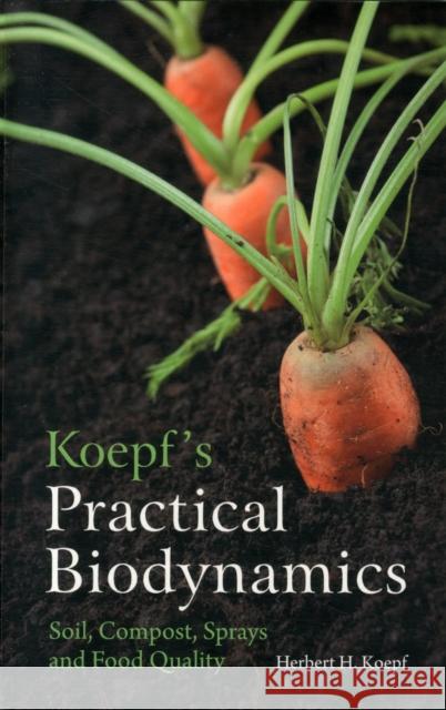 Koepf's Practical Biodynamics: Soil, Compost, Sprays and Food Quality Koepf, Herbert H. 9780863159268