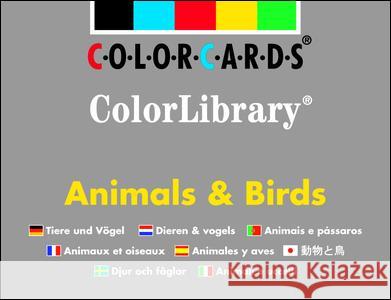 Animals and Birds  9780863885105 Speechmark Publishing Ltd