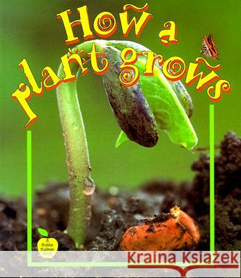 How a Plant Grows Bobbie Kalman 9780865057289 Crabtree Publishing Company