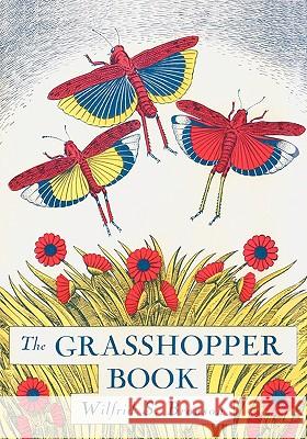 The Grasshopper Book Wilfrid S Bronson 9780865346901 Sunstone Press