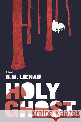 Holy Ghost R. M. Lienau Richard M. Lienau 9780865348035 Sunstone Press