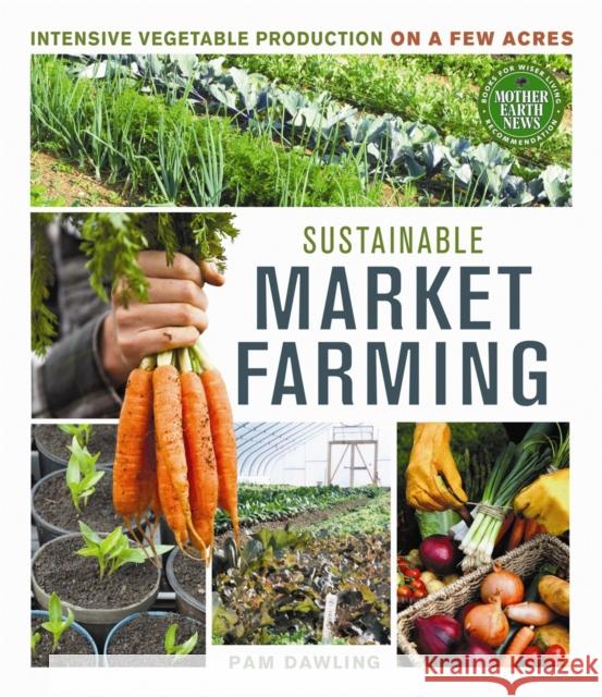 Sustainable Market Farming: Intensive Vegetable Production on a Few Acres Pam Dawling 9780865717169 New Society Publishers