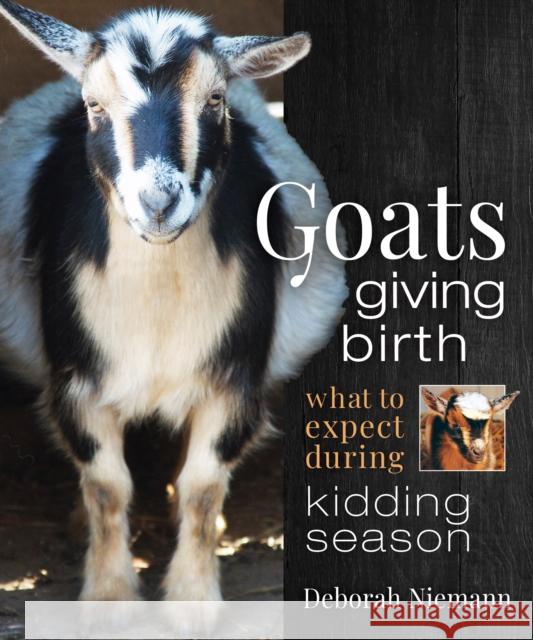 Goats Giving Birth: What to Expect During Kidding Season Niemann, Deborah 9780865719422 New Society Publishers