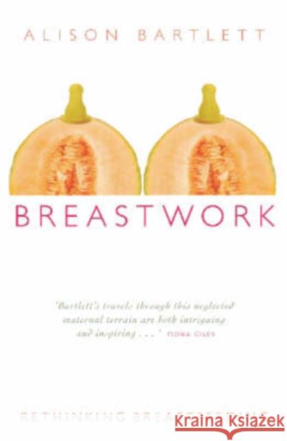 Breastwork: Rethinking Breastfeeding Bartlett, Alison 9780868409696 UNSW Press