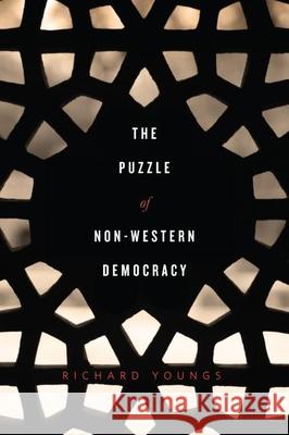 The Puzzle of Non-Western Democracy Richard Youngs 9780870034282