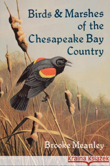 Birds & Marshes of the Chesapeake Bay Country Brooke Meanley 9780870332074 Tidewater Publishers