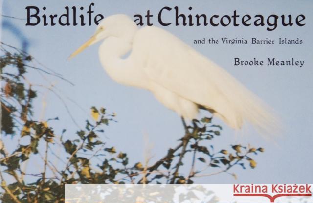 Birdlife at Chincoteague and the Virginia Barrier Islands  9780870332579 CORNELL MARITIME PRESS INC.,U.S.