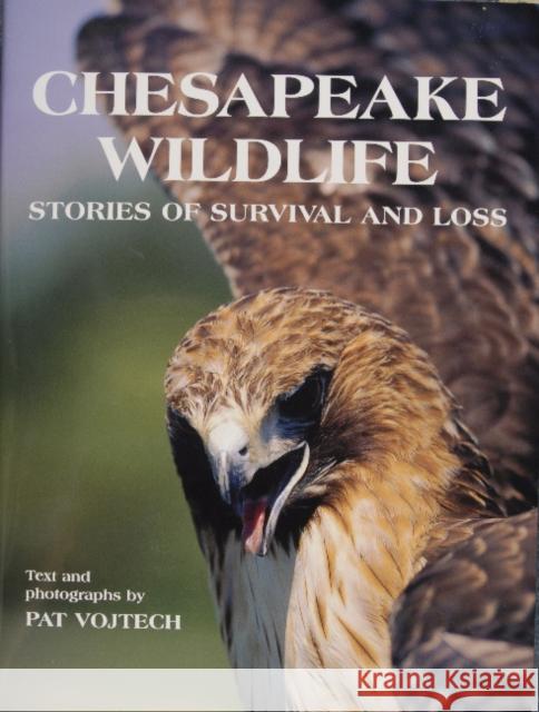 Chesapeake Wildlife: Stories of Survival and Loss Pat Vojtech 9780870335365 Tidewater Publishers