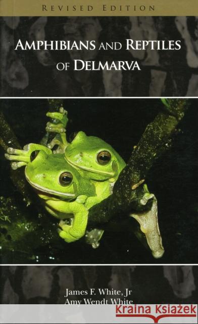 Amphibians and Reptiles of Delmarva James F. White Amy Wendt White 9780870335969 Tidewater Publishers