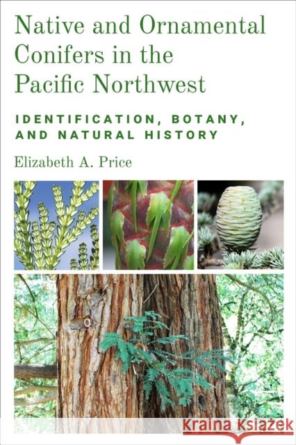 Native and Ornamental Conifers in the Pacific Northwest: Identification, Botany and Natural History Price, Elizabeth A. 9780870711671 Oregon State University Press